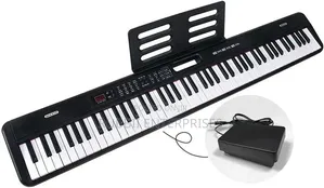 Electric Learners Piano Keyboard 88keys