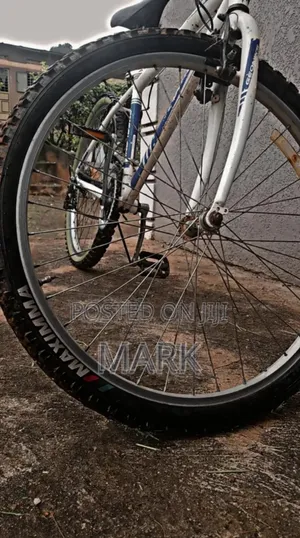 Adult Bicycle for Sale