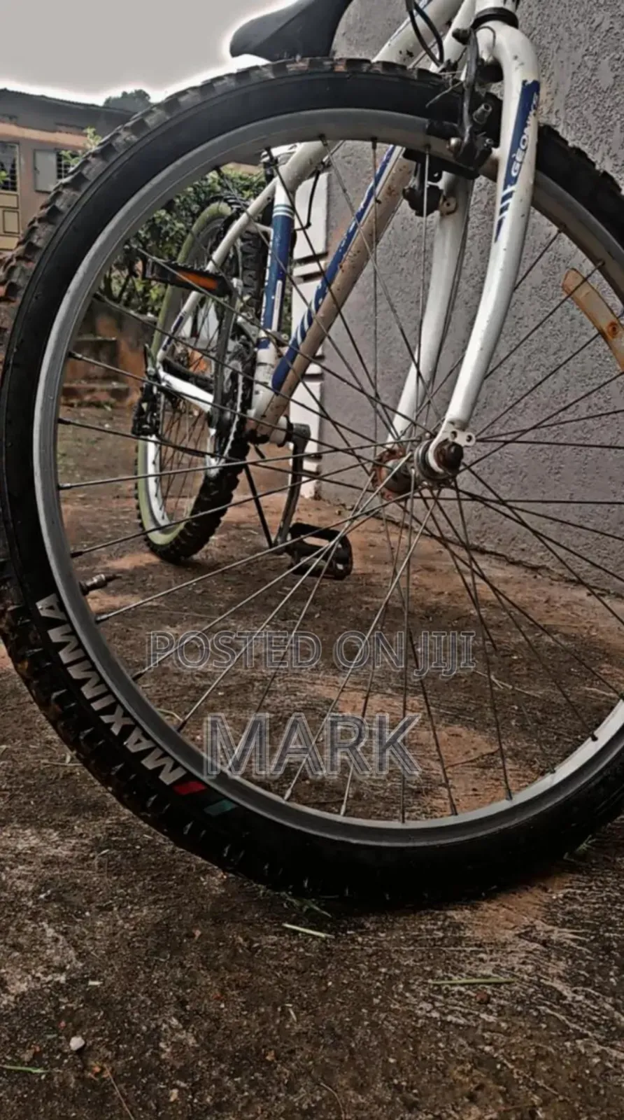Adult Bicycle for Sale