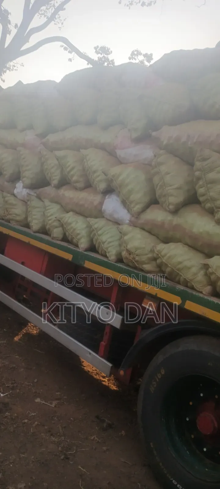 Irish Potatoes Irish Potatoes