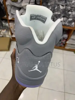 Air Jordan 5 Wolf Grey