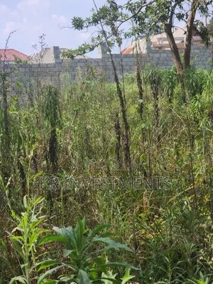 6.4 Acres of Land at 200M Each Found in Mukono Kasangalabi