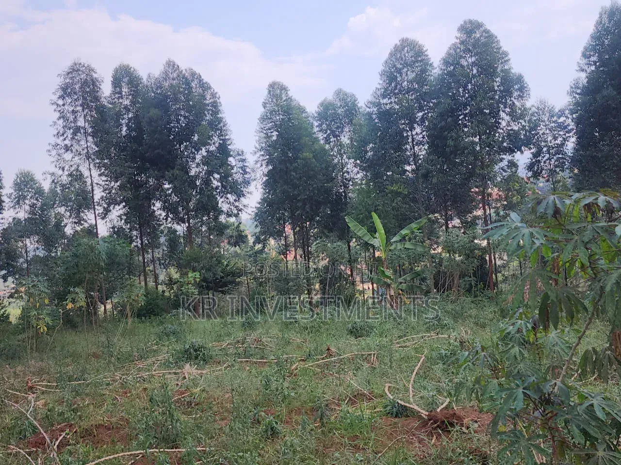 6.4 Acres of Land at 200M Each Found in Mukono Kasangalabi