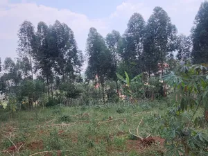 6.4 Acres of Land at 200M Each Found in Mukono Kasangalabi