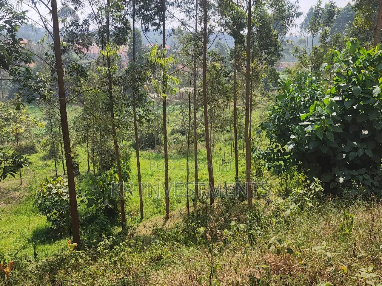 6.4 Acres of Land at 200M Each Found in Mukono Kasangalabi