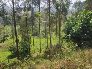 6.4 Acres of Land at 200M Each Found in Mukono Kasangalabi