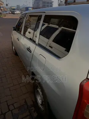 Toyota Probox 1.5 F 4WD 2004 Silver