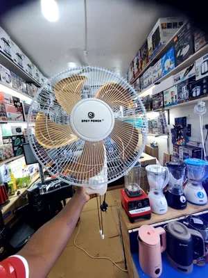 Easy Power 16-Inch Wall Fan