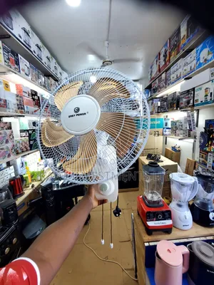 Easy Power 16-Inch Wall Fan