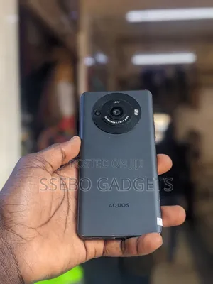 Sharp Aquos R8s pro 256 GB Gray
