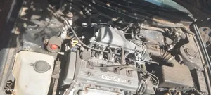 Toyota Corolla 1999 Gray