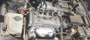 Toyota Corolla 1999 Gray