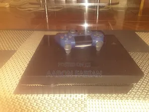 Ps4 Standard Non Chipped