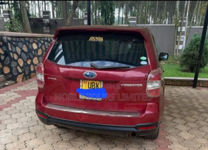 Car Hire Services