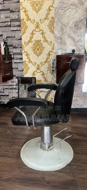 Salon Chair