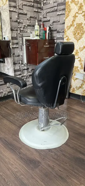 Salon Chair
