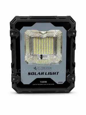 100W FBI Solar Flood Light