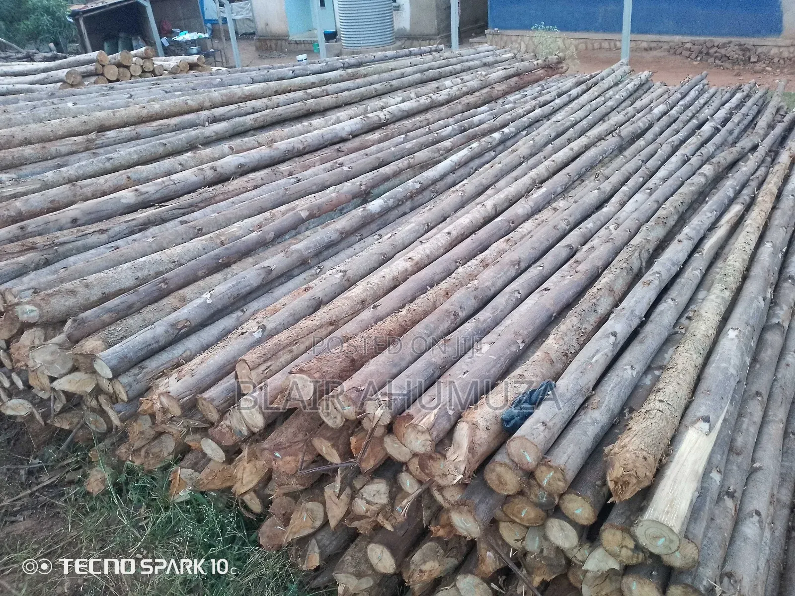 Timber (All Types)
