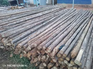 Timber (All Types)