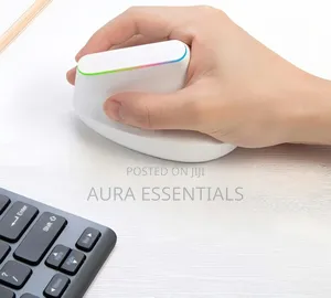 Weibo Ergonomic Vertical Wireless Mouse
