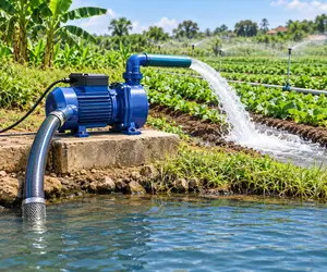 550W–2200W Electric Farm Water Pumps for Fish Ponds & Livestock