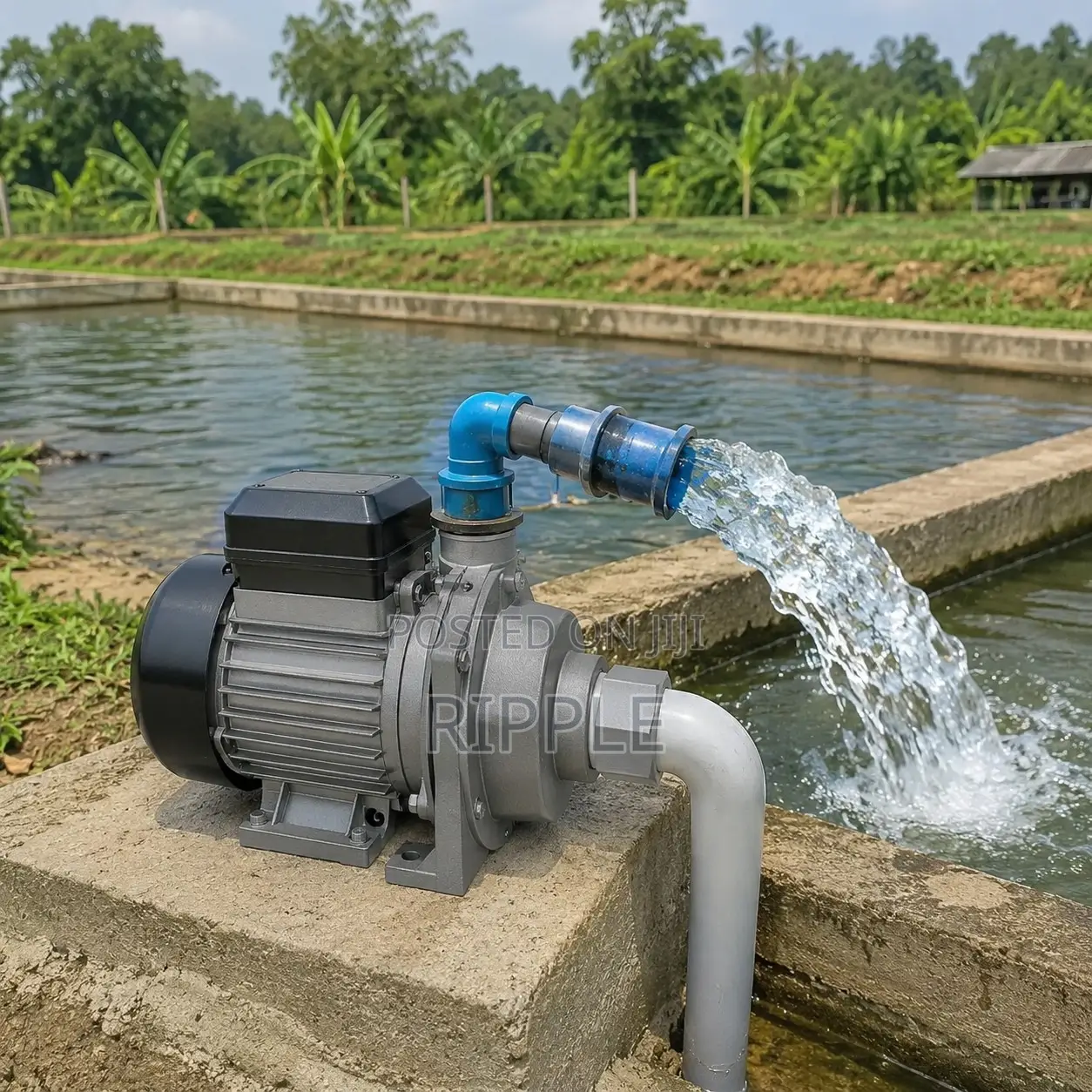 550W–2200W Electric Farm Water Pumps for Fish Ponds & Livestock
