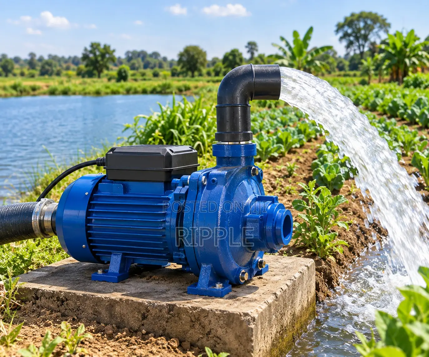 550W–2200W Electric Farm Water Pumps for Fish Ponds & Livestock