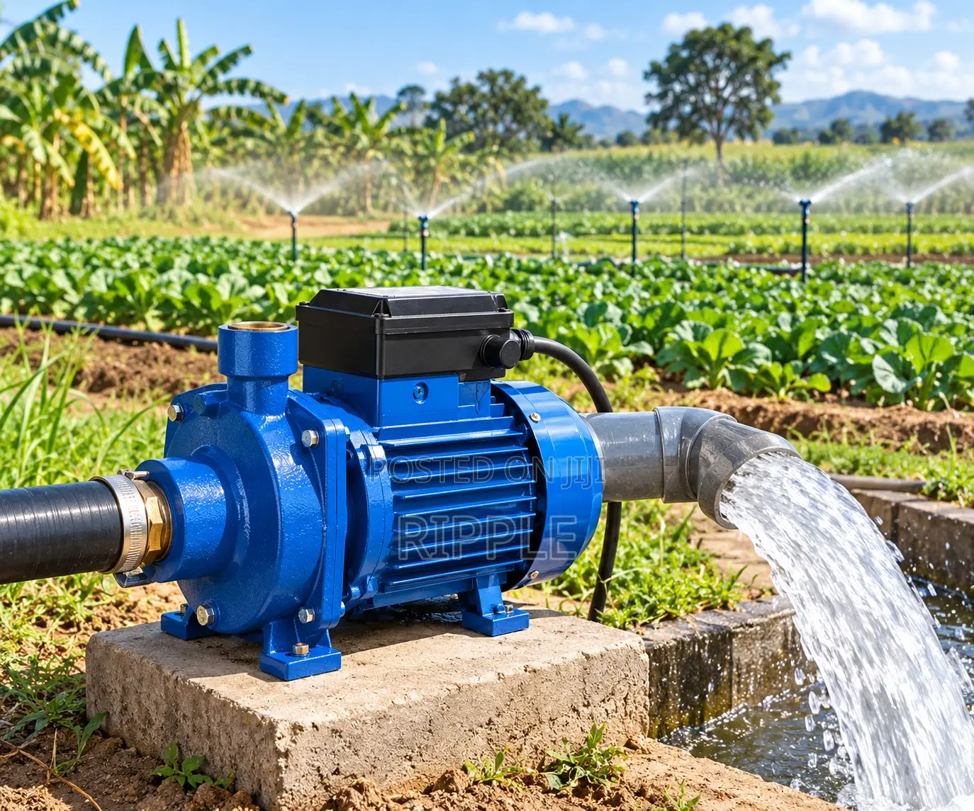 550W–2200W Electric Farm Water Pumps for Fish Ponds & Livestock