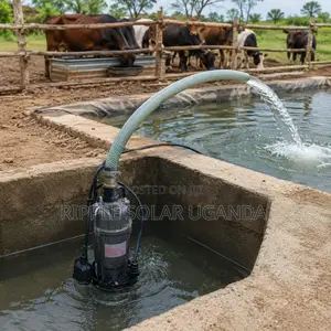 Fish Pond & Livestock Water Pump Solutions 550W–2200W