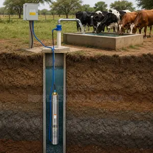 Fish Pond & Livestock Water Pump Solutions 550W–2200W