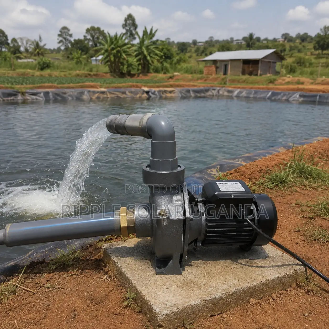 Fish Pond & Livestock Water Pump Solutions 550W–2200W
