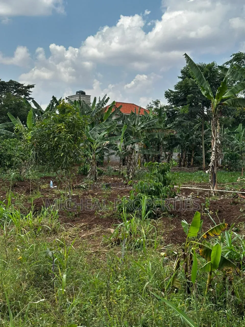 28 Decimals for Sell Busika Vumba 35m