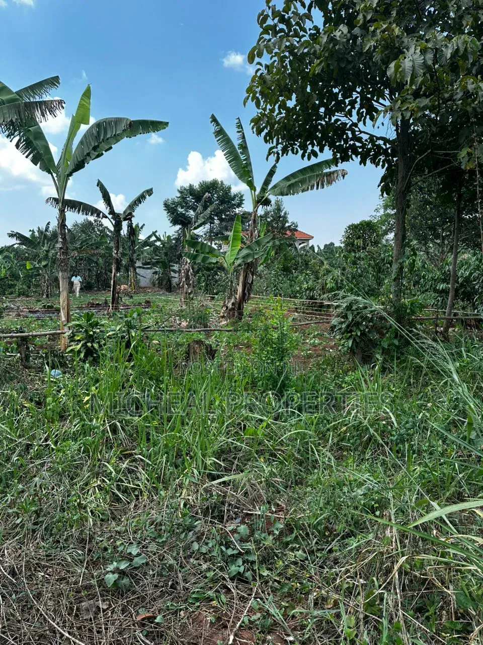 28 Decimals for Sell Busika Vumba 35m