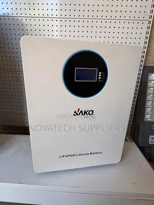 SAKO 2.56kWh Lithium Battery With Smart BMS