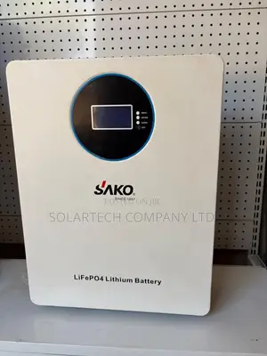 SAKO 2.56kWh 25.6V 100Ah LiFePO4 Lithium Battery