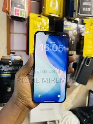 Apple iPhone 12 Pro Max 256 GB Blue