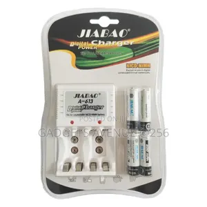 A-613 Digital Power Multi Battery Charger Is a Home Battery Charger