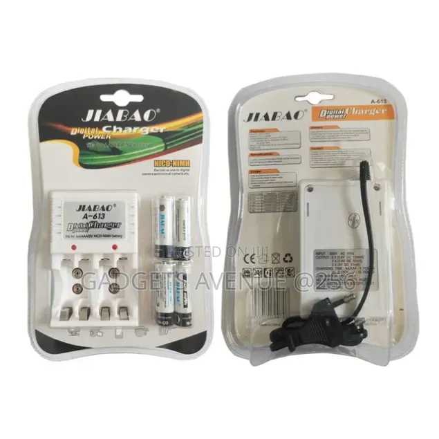 A-613 Digital Power Multi Battery Charger Is a Home Battery Charger