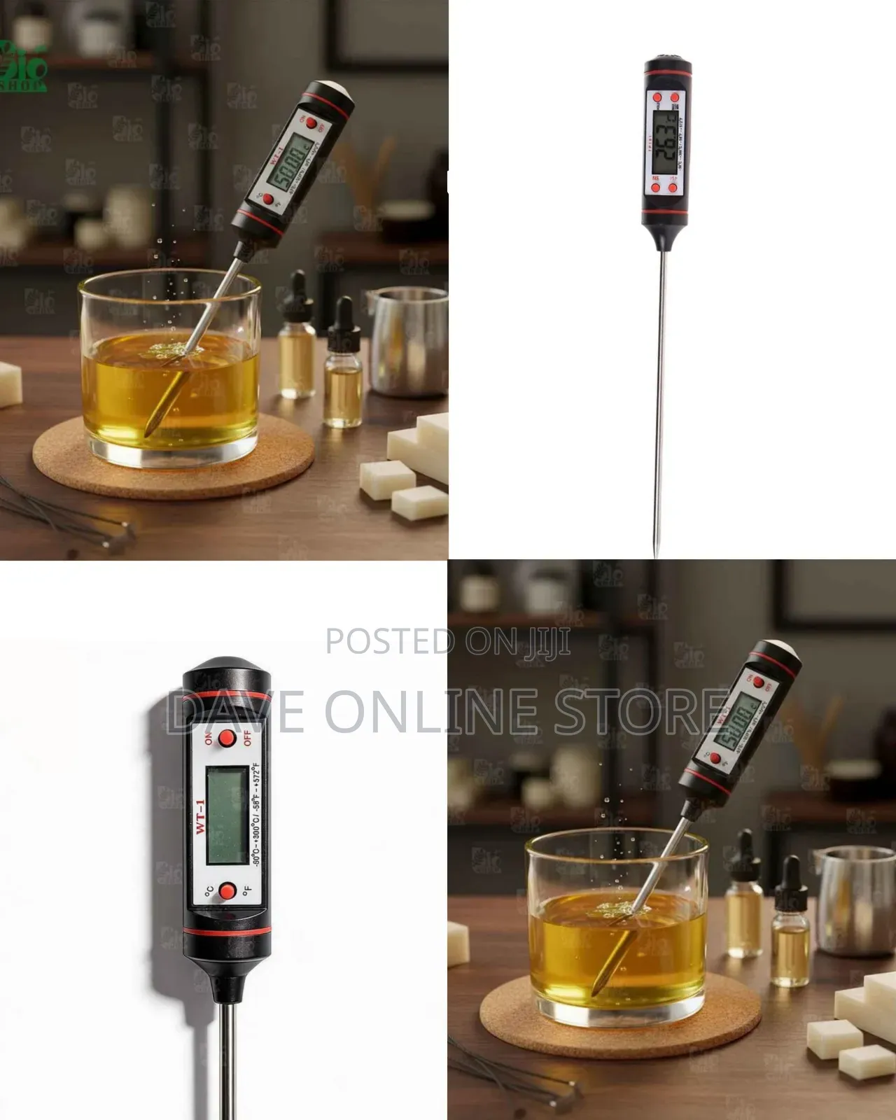 Digital Probe Thermometer (WT - 1)