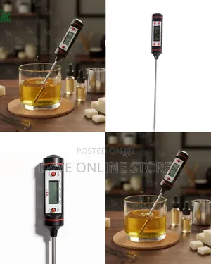 Digital Probe Thermometer (WT - 1)