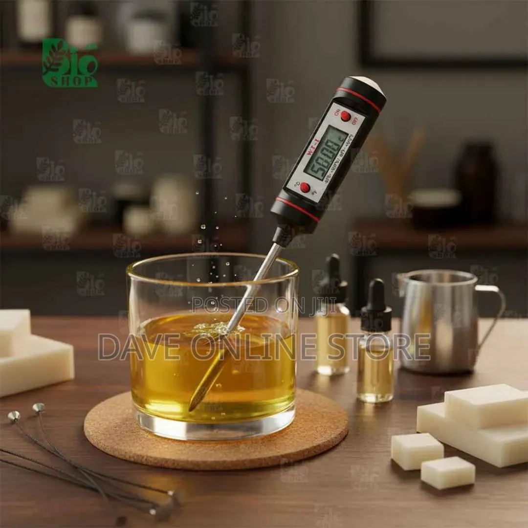 Digital Probe Thermometer (WT - 1)