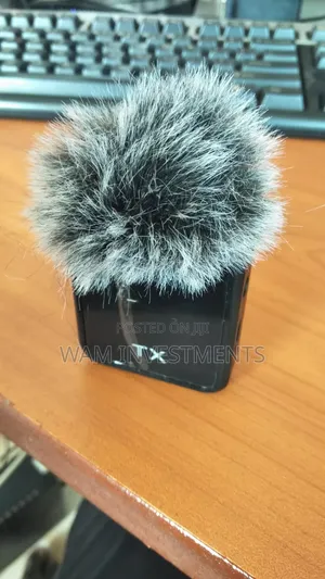 F11-2 Wireless Microphone
