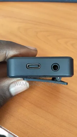 F11-2 Wireless Microphone