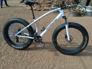 Fat Bike With Double Disc Brakes