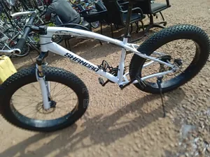Fat Bike With Double Disc Brakes