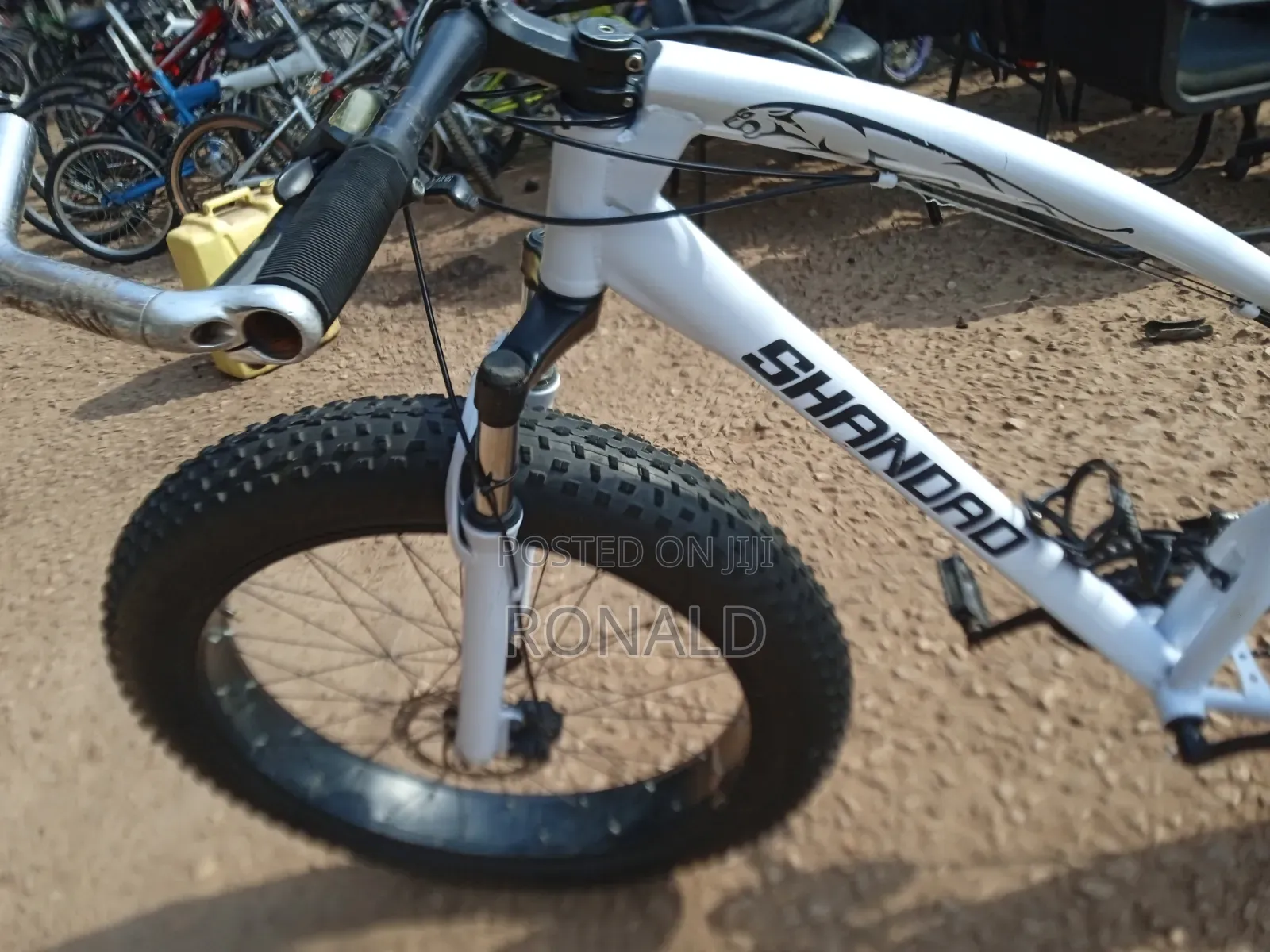 Fat Bike With Double Disc Brakes