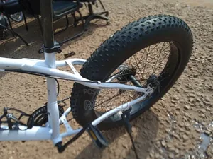 Fat Bike With Double Disc Brakes
