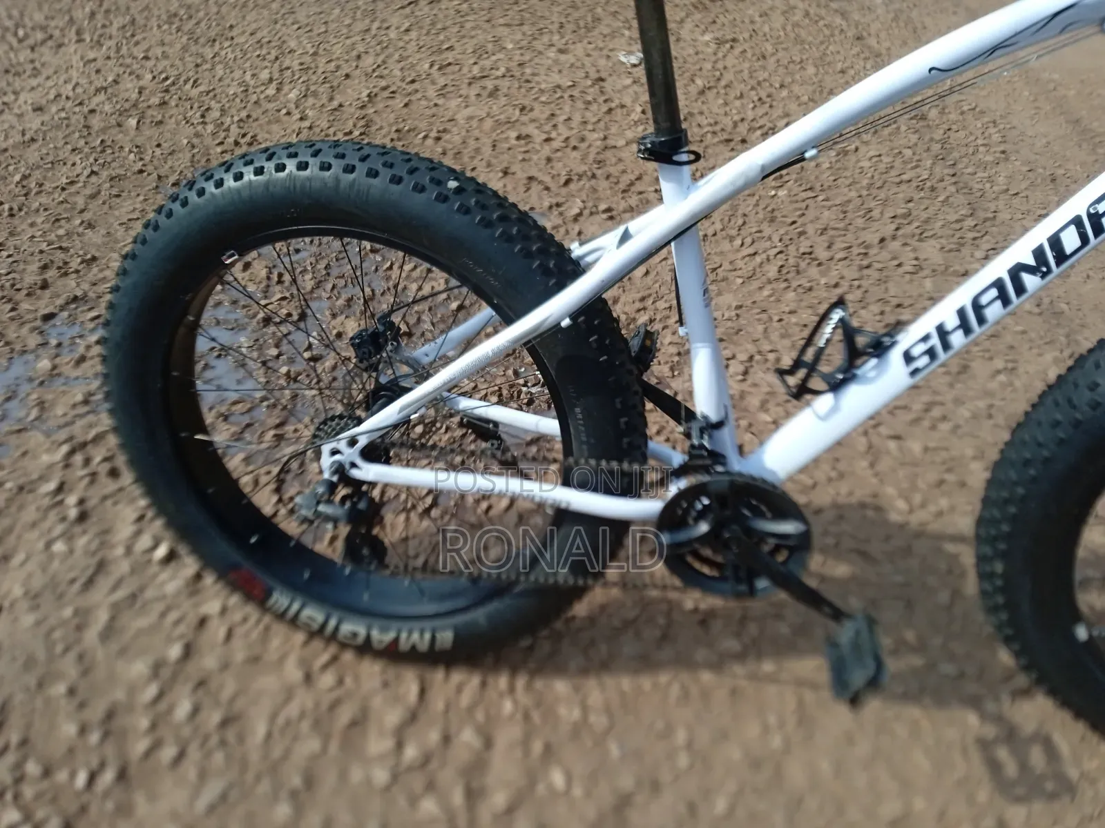 Fat Bike With Double Disc Brakes