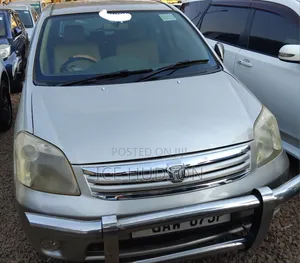Toyota Raum 2006 Gray
