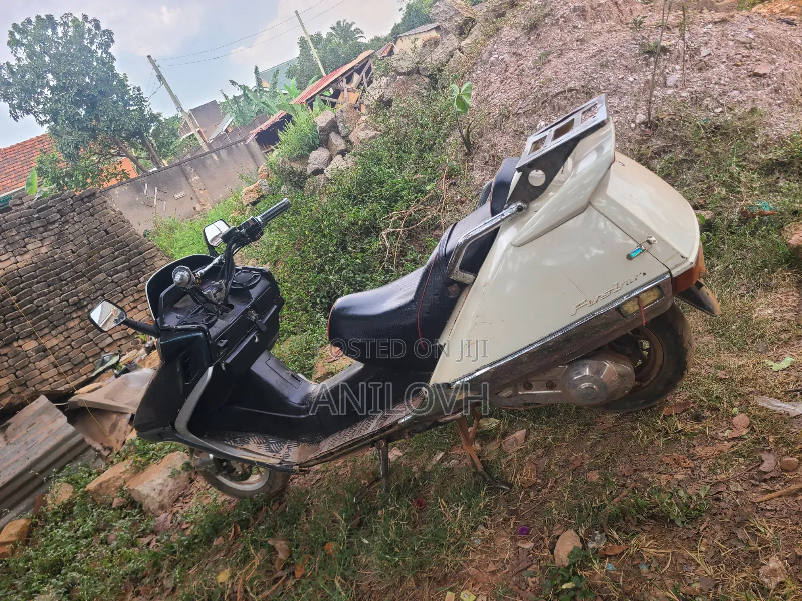 Honda Forza 2001 White